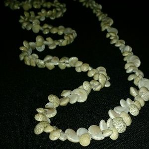 Long Sea Shell Necklace - Beach / Islander Vibes